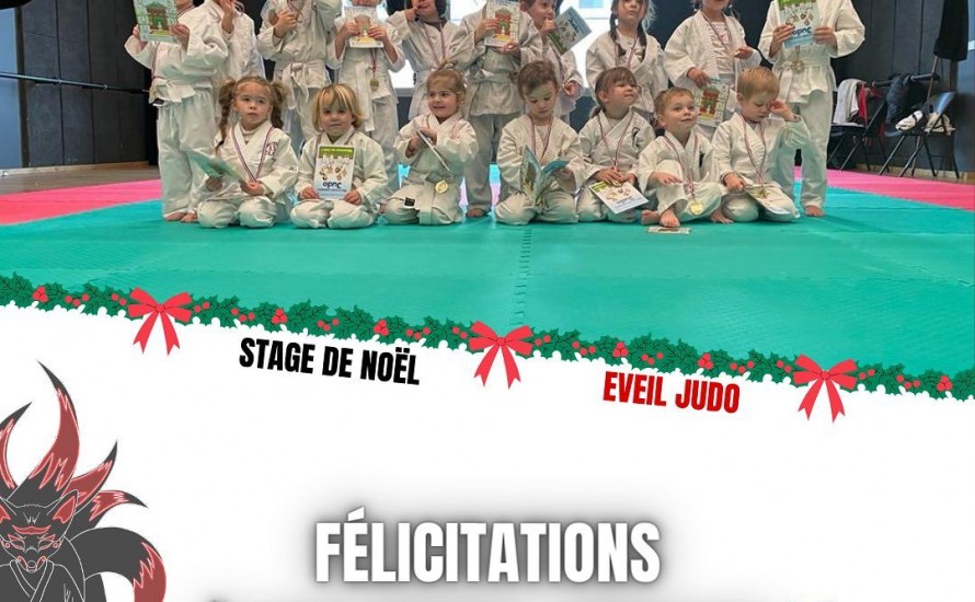 STAGE EVEIL JUDO