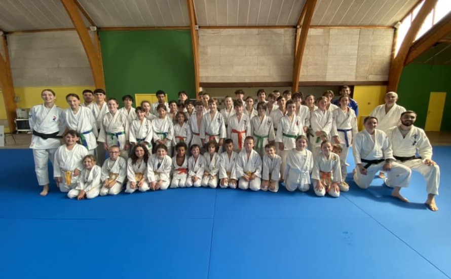 STAGE JUDO ETE