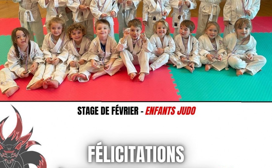 STAGE EVEIL JUDO